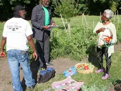 Growing community at Vel’s Purple Oasis