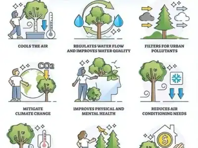 Understanding the costs and benefits of tree removal